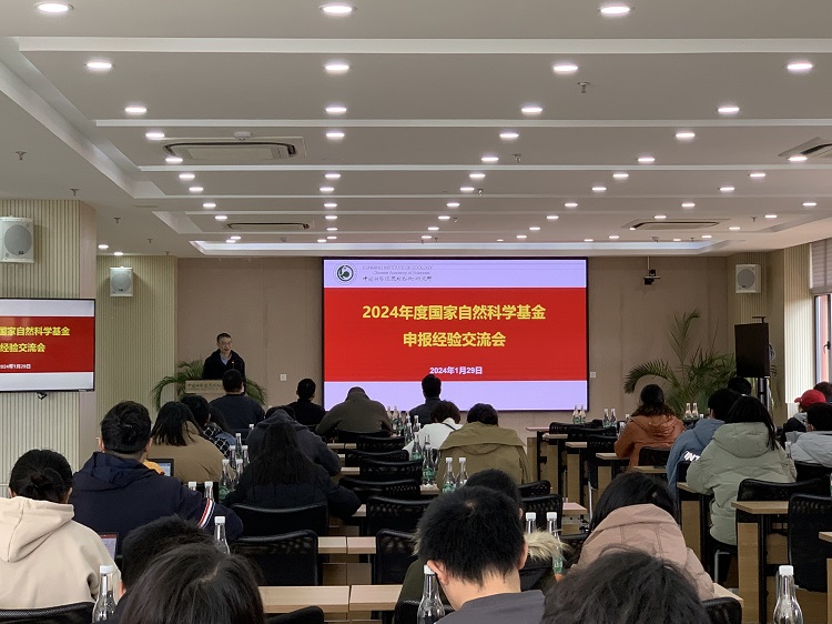 电子游戏app下载安装