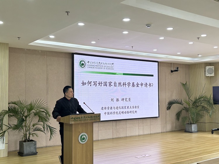 电子游戏app下载安装