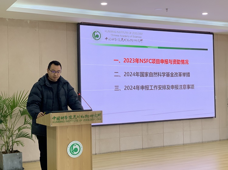 电子游戏app下载安装