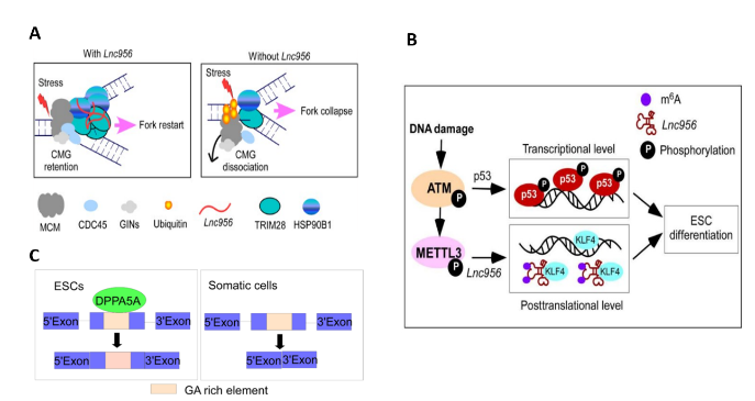 电子游戏app下载安装