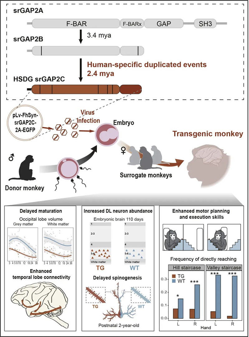 电子游戏app下载安装