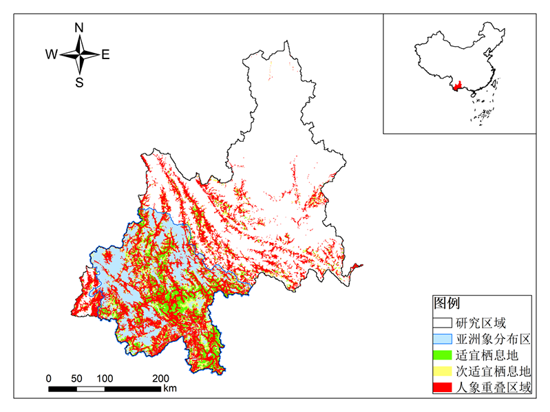 电子游戏app下载安装