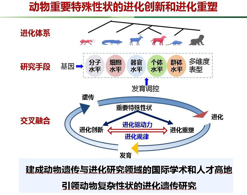 电子游戏app下载安装