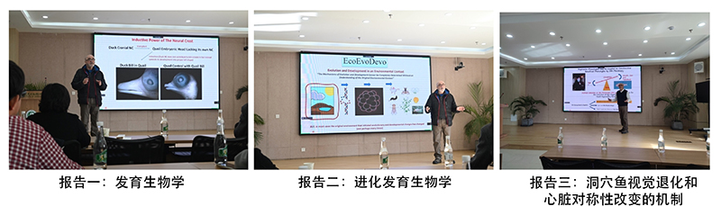 电子游戏app下载安装