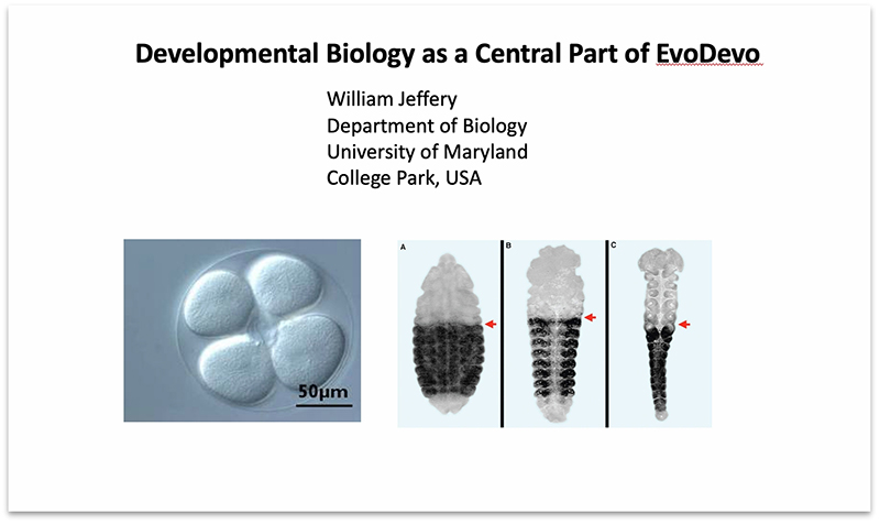电子游戏app下载安装