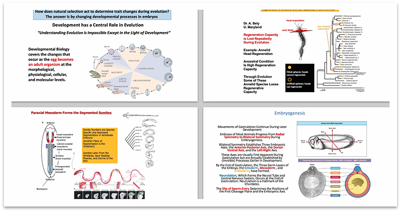 电子游戏app下载安装