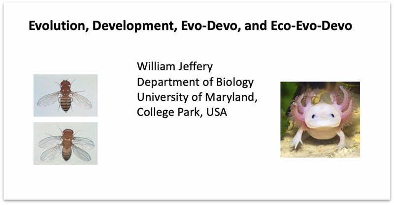 电子游戏app下载安装