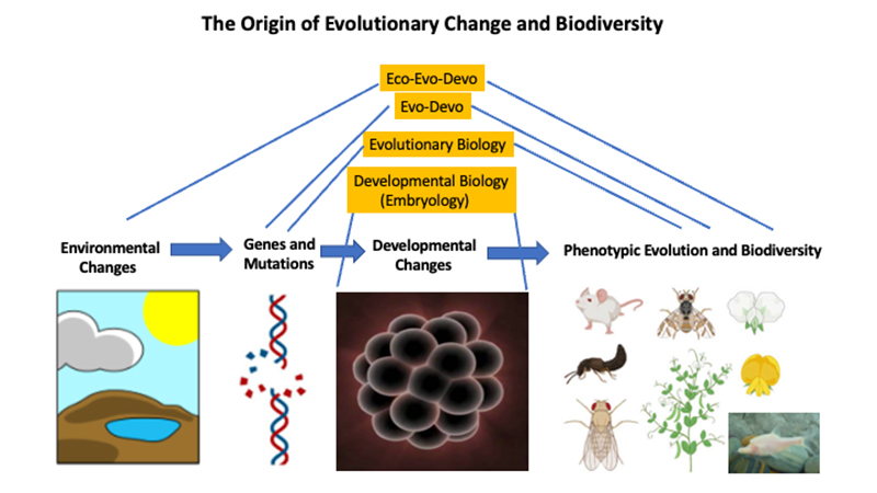 电子游戏app下载安装
