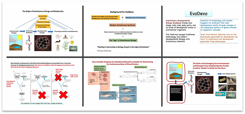 电子游戏app下载安装
