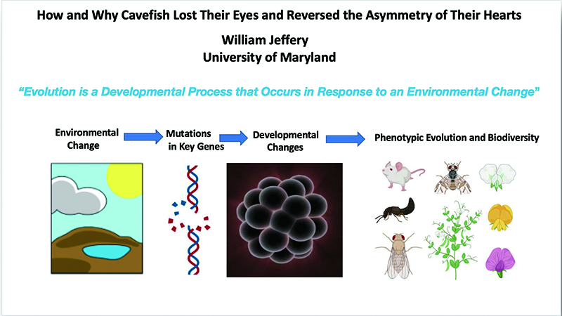 电子游戏app下载安装