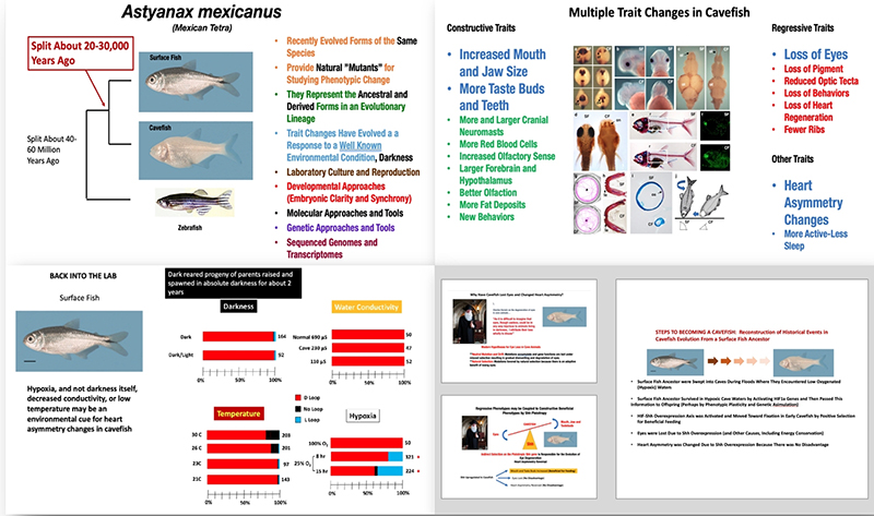 电子游戏app下载安装