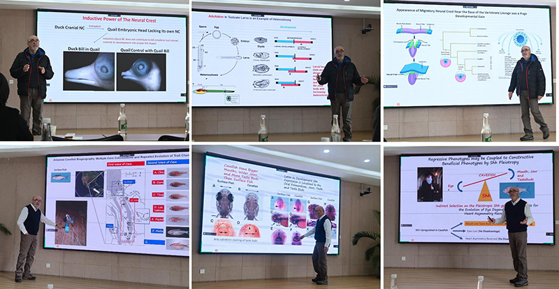 电子游戏app下载安装