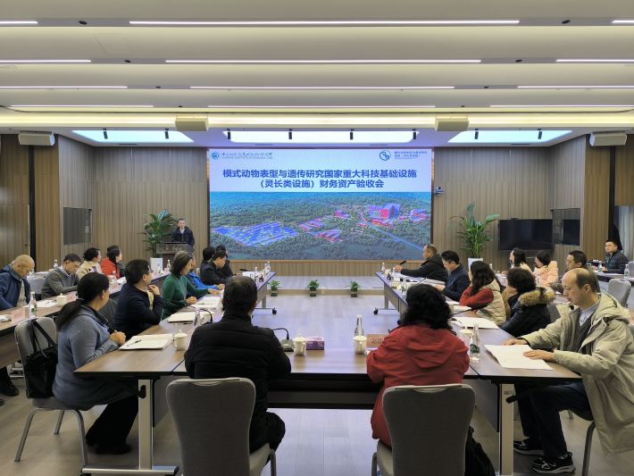 电子游戏app下载安装