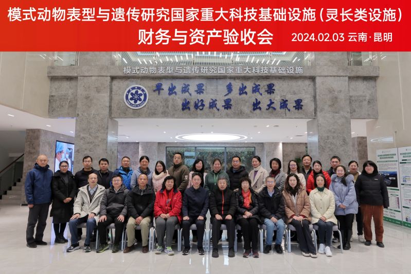 电子游戏app下载安装