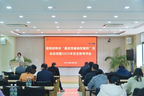 电子游戏app下载安装