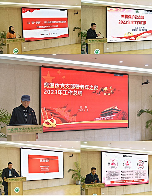 电子游戏app下载安装