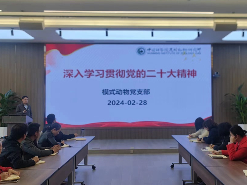 电子游戏app下载安装