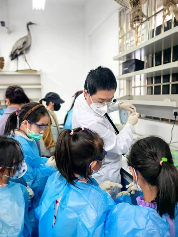 电子游戏app下载安装