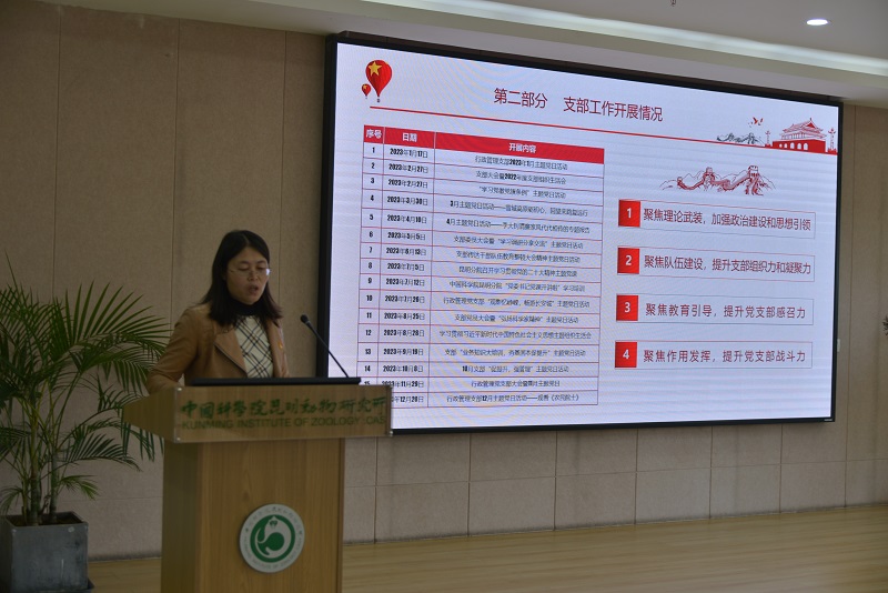 电子游戏app下载安装