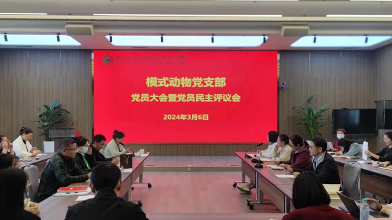 电子游戏app下载安装