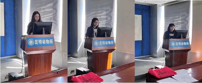 电子游戏app下载安装