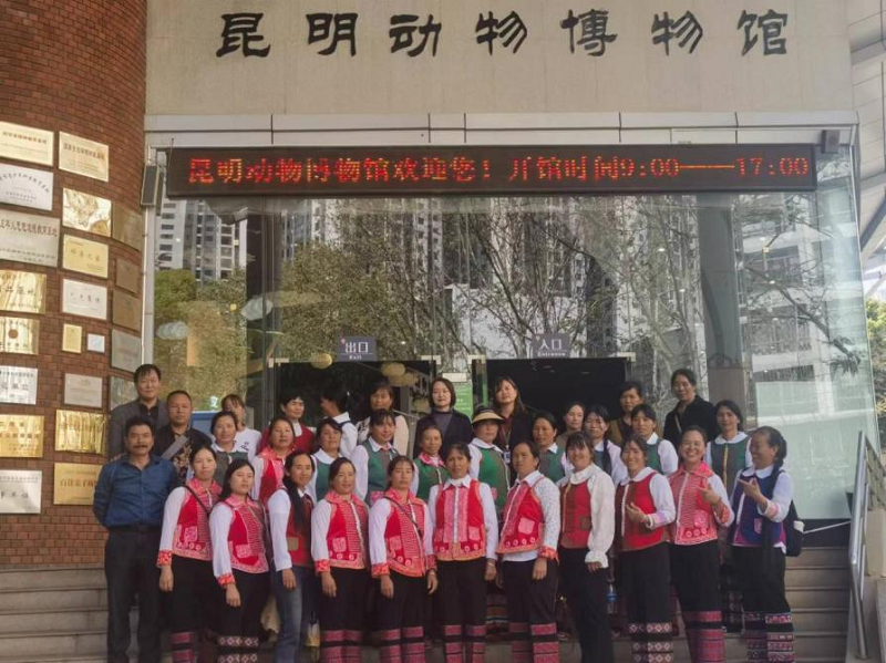 电子游戏app下载安装