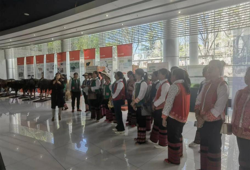 电子游戏app下载安装