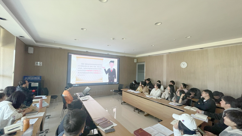 电子游戏app下载安装