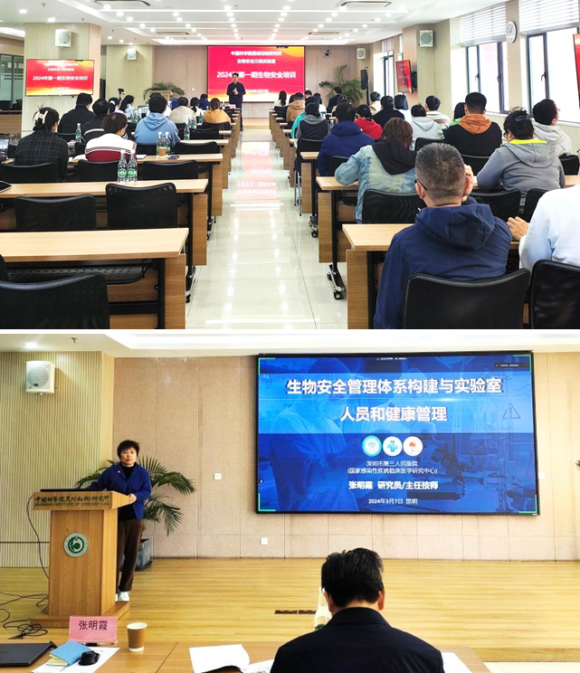 电子游戏app下载安装