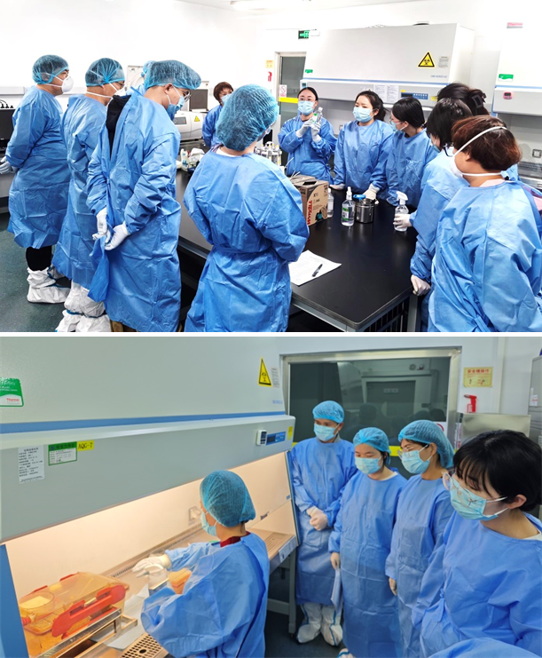 电子游戏app下载安装