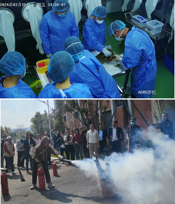 电子游戏app下载安装