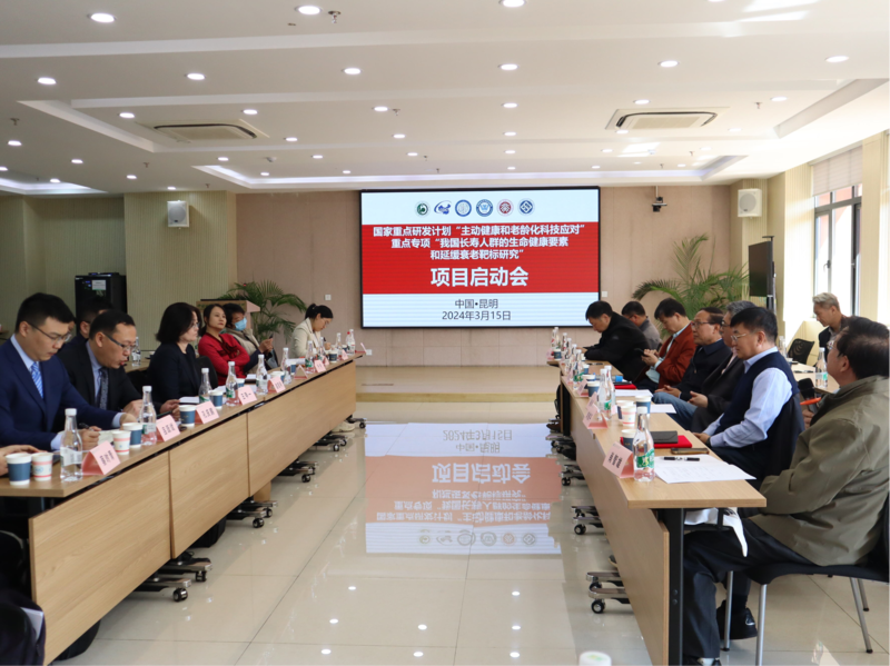 电子游戏app下载安装