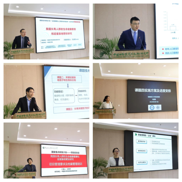 电子游戏app下载安装