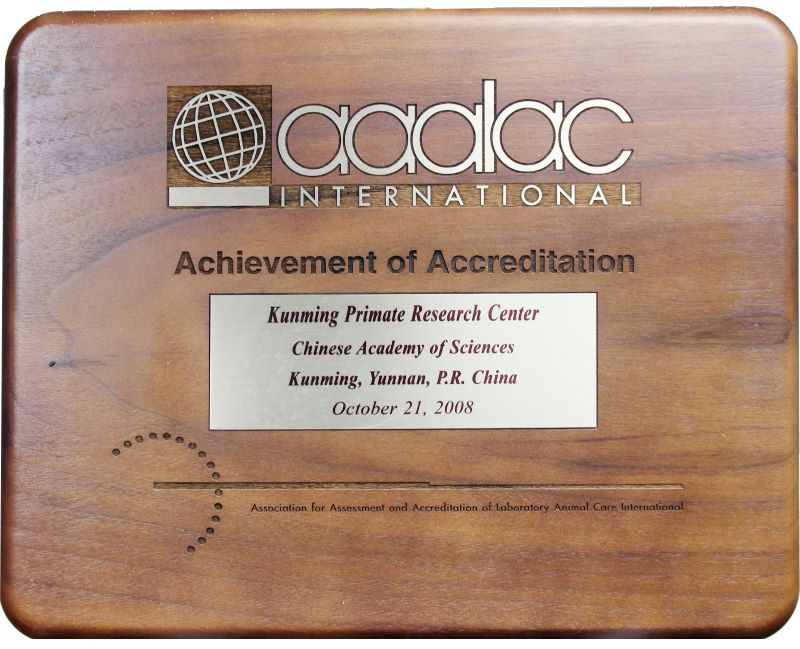 电子游戏app下载安装