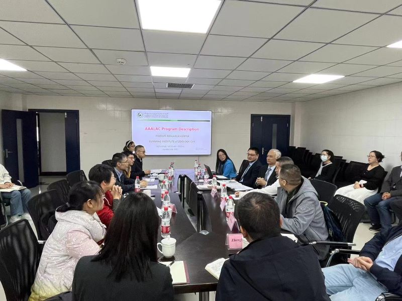 电子游戏app下载安装