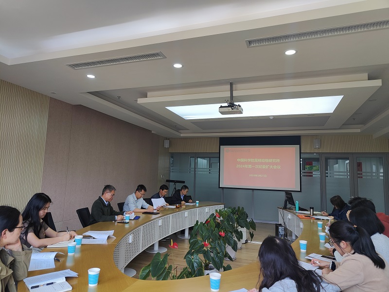 电子游戏app下载安装