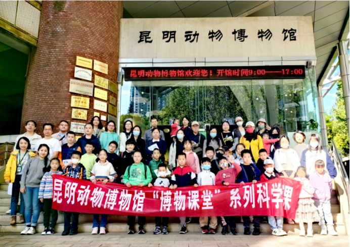 电子游戏app下载安装