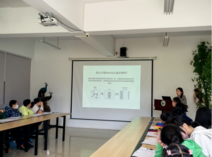 电子游戏app下载安装