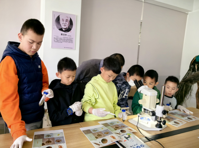 电子游戏app下载安装