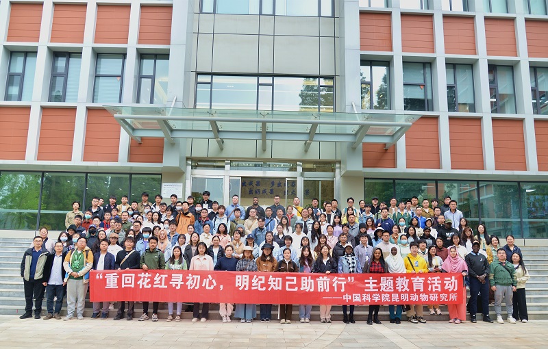 电子游戏app下载安装