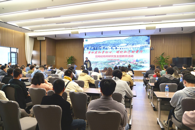 电子游戏app下载安装