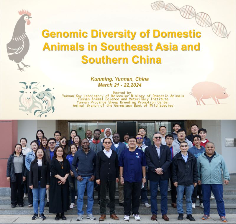 电子游戏app下载安装