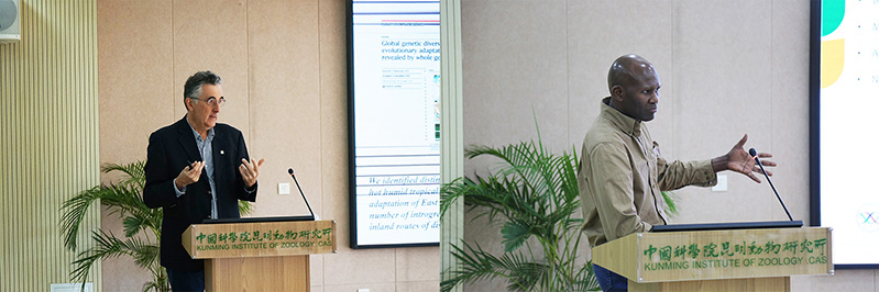 电子游戏app下载安装