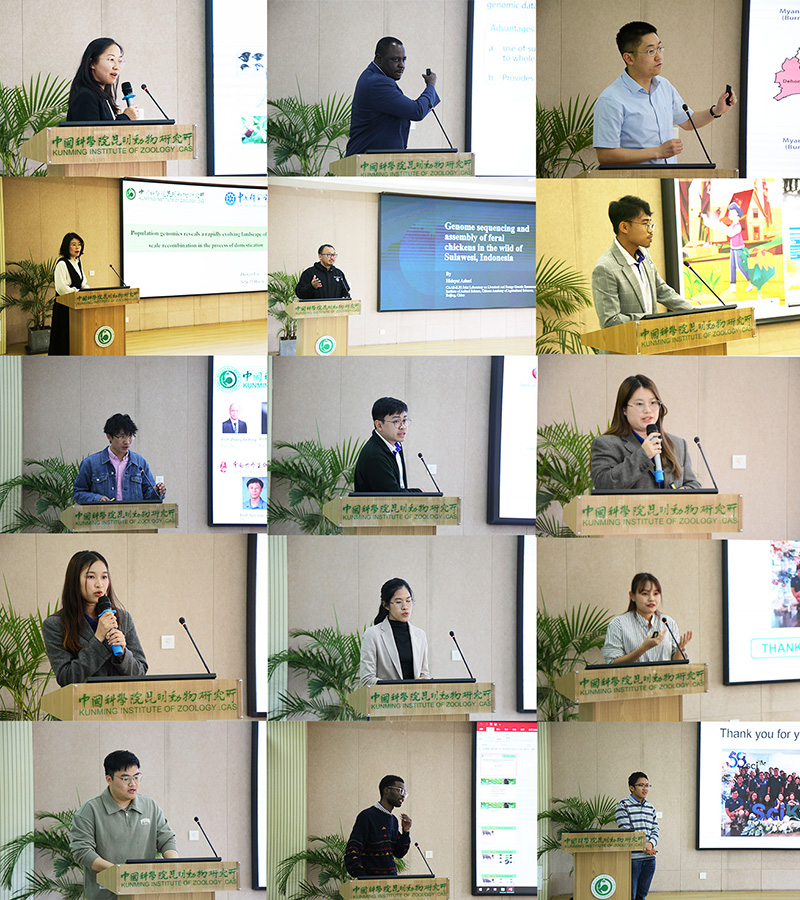 电子游戏app下载安装