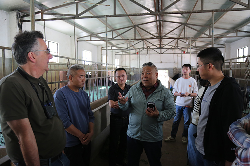 电子游戏app下载安装