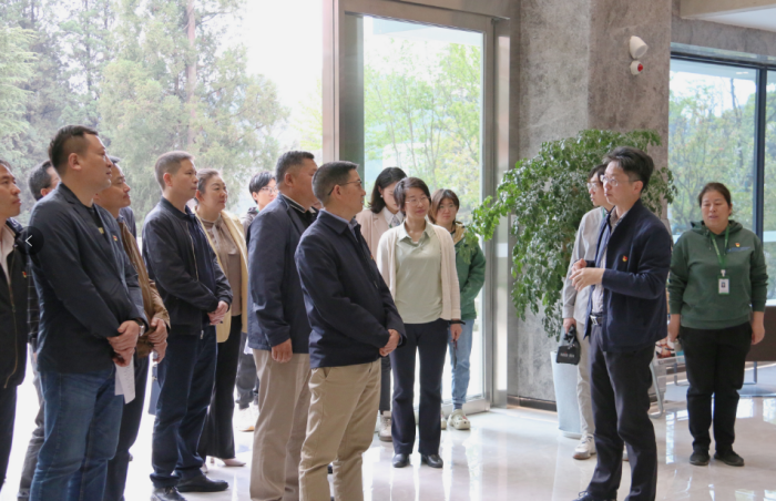 电子游戏app下载安装