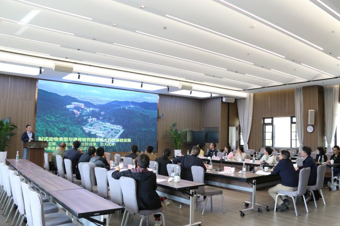 电子游戏app下载安装