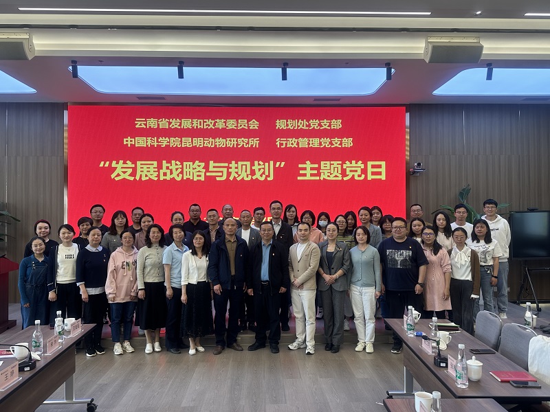 电子游戏app下载安装