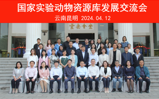 电子游戏app下载安装