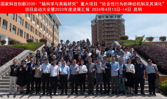 电子游戏app下载安装